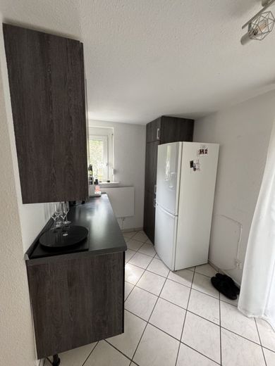 3 Zimmer Wohnung Ruhe-Oase mit Naherholungseffekt  nähe Max-Eyth-See – IMG_8249