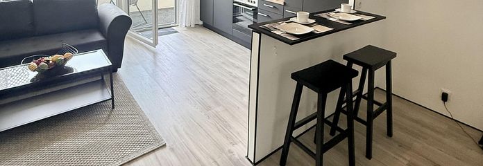 Yüksek kaliteli yenilenmiş ve mobilyalı, hemen boş