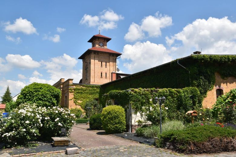 Grünes Leben im Denkmal – Foto 2
