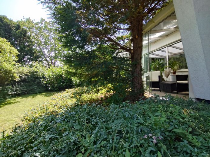 Blick in den Wintergarten
