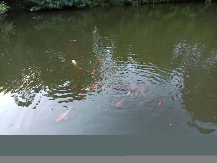 Mehrgenerationenhaus plus Gewerbe – Teich