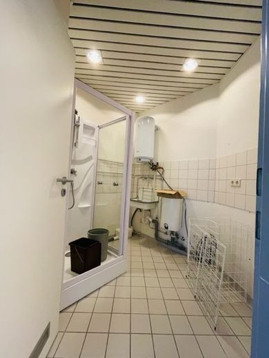 Bild 18