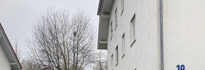 Garten (Zaun kommt noch)