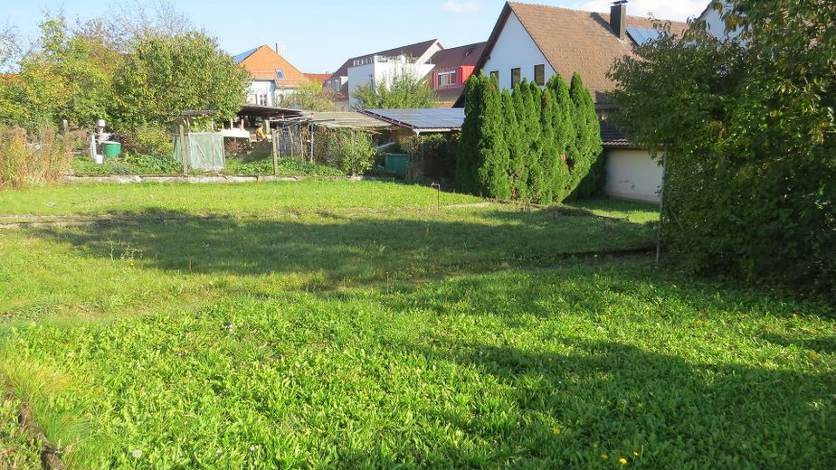 Blick im Garten nach SO