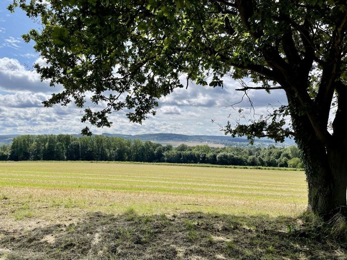 Fröndenberg/Ruhr: Eines der schönsten Grundstücke der Stadt! – Baugrundstück Fröndenberg