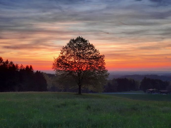 Sonnenuntergang im April