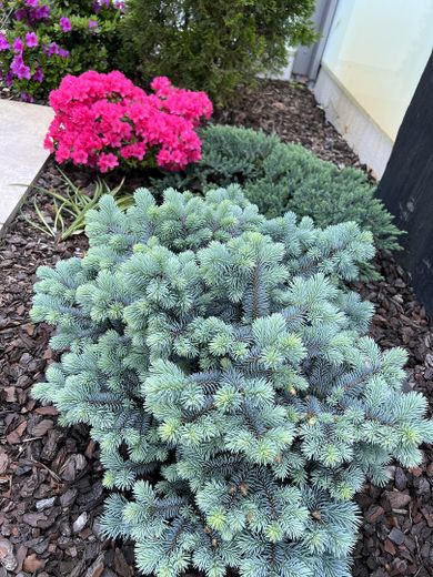 Luxus Stadtvilla mit angelegtem Traum Garten – Foto 11