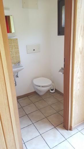 Ideal für Pferdehaltung - Einfamilienhaus, Baugrundstück, Stall und Hausweide / Resthof – Gäste-WC