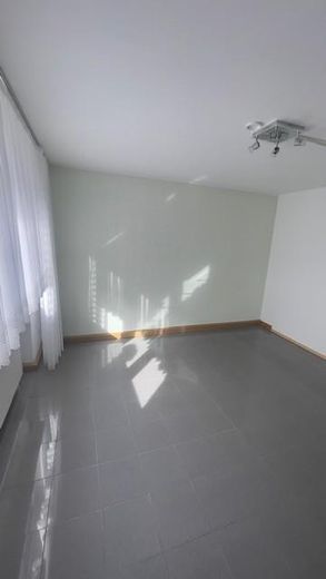 Przestronny, zadbany dom jednorodzinny w pobliżu granicy z Luksemburgiem – Foto 8