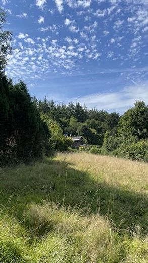 Garten unten