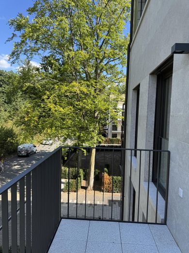 Am Grüngürtel von Frankfurt - 3 Zimmerwohnung - direkt am Wald - Dreieich Buchschlag – Ausblick Balkon zur Straße