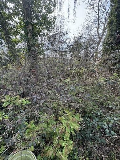Beste Wohnlage - ruhig mitten im Wald und doch Großstadtnah - hier kann man sich ein Heim bauen! – 00003