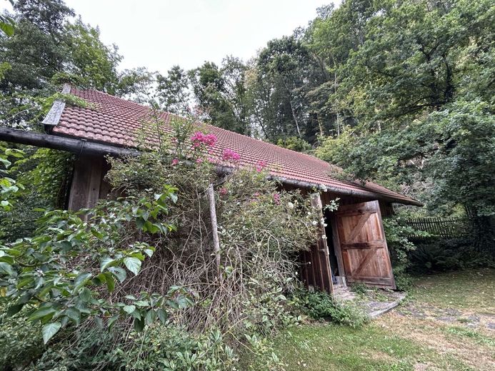 Dornröschen am Bachlauf - Ruhige Lage, kein Durchgangsverkehr - Traumhaft Natur erleben! Aussteiger! – Schuppen