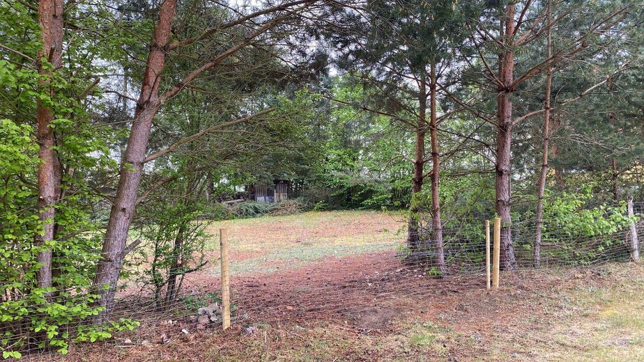 1.254 m² Baugrundstück nahe Stechlinsee – teilbar , ruhige Lage (provisionsfrei) – Foto 11