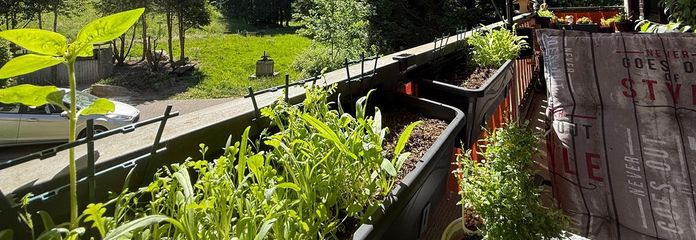 Kapitalanlage – Ferienwohnung / Airbnb-Investment in Sasbachwalden