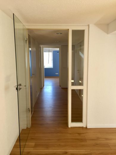 Altstadt-Stadthaus mit Mainblick, Dachterrasse, Mieteinnahmen & Ausbaupotenzial – provisionsfrei – Wohnung 2.OG