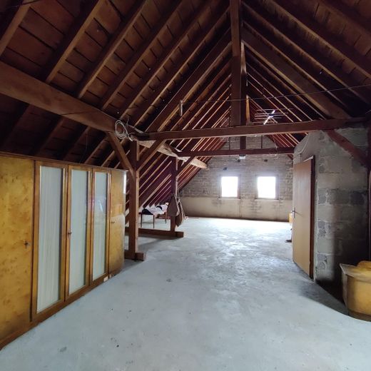 Ehemaliger Bauernhof - 2 Wohnhäuser u. Wirtschaftsgebäude auf großem Grundstück – Speicher Wohnhaus
