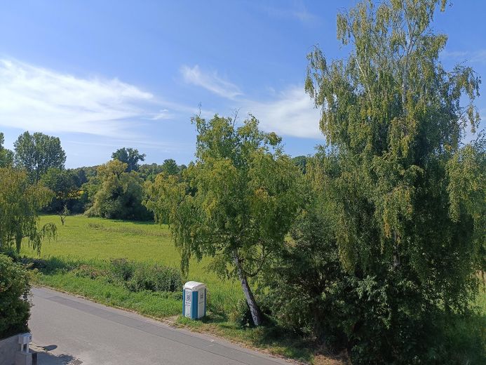 Blick ins Grüne