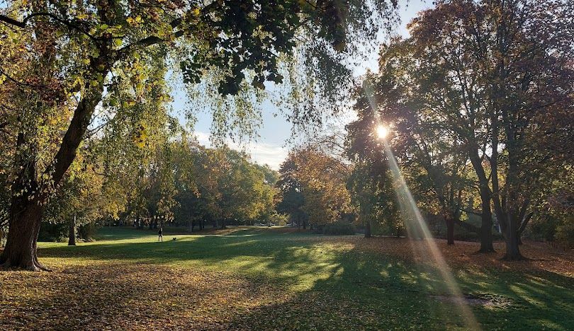 Volkspark Wilmersdorf
