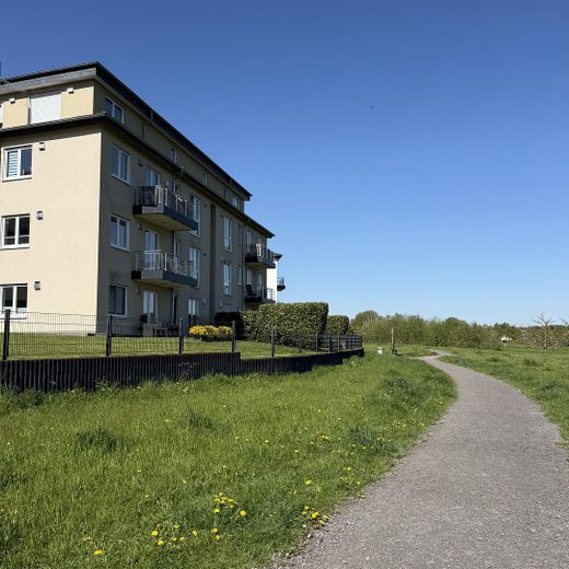 Hochwertige 3-Zi.-Eigentumswohnung in Bonn-Röttgen — Neubau 2015, EEK A, 2 Balkone – Foto 4