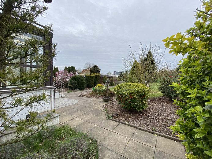 Blick in den Garten
