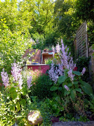 Einfamilienhaus bei Meisenheim mit Garten, Hof, Terrasse, Balkon – Foto 16