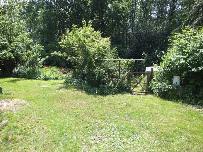 Naturidyll mit riesigem Grundstück – Provisionsfrei von Privat! – Garten
