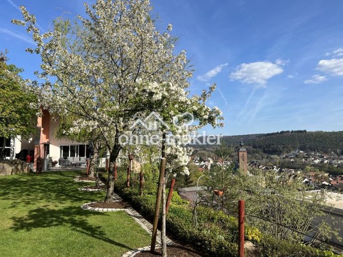 Villa in Südlage mit Weitblick - Provisionsfrei! – Foto 1