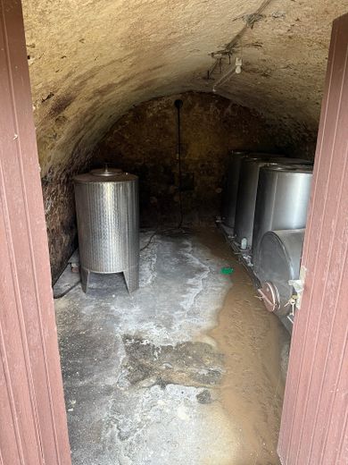 Gewölbe - Weinkeller