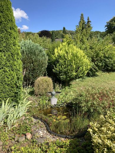 Charming detached house with a large garden in a quiet location on the edge of the forest (Wieterwald) – Gartenteich