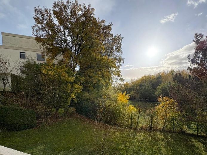 Ausblick ins Grüne vom Balkon