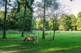 Tierpark