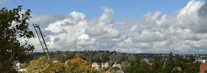 IMG_7316