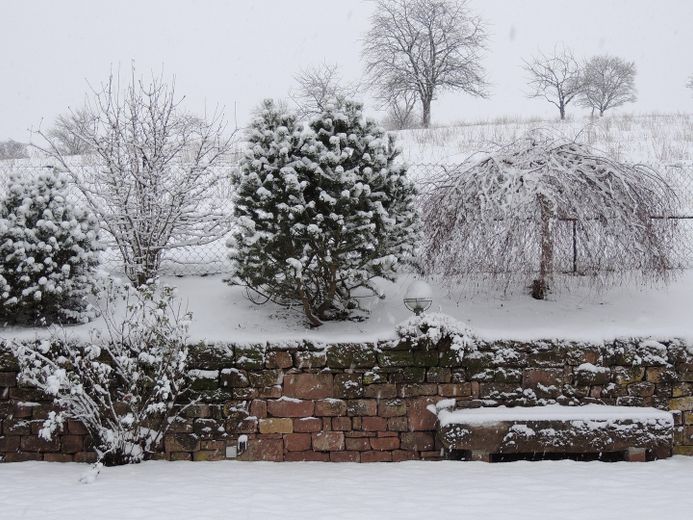 Freistehendes Niedrigenergie-EFH in Massivbauweise zwischen Pirmasens und Zweibrücken – Garten im Winter