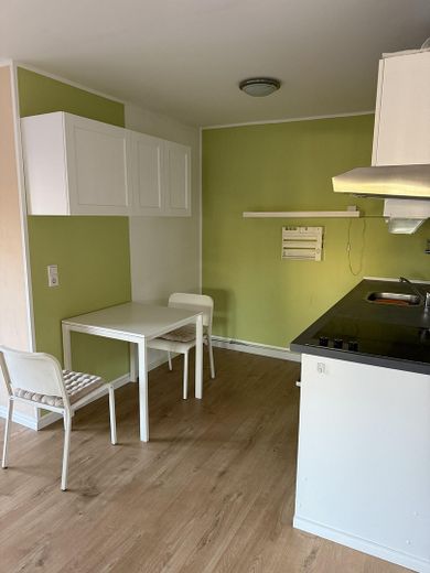 Отдельная, светлая и просторная 1-комн. квартира (42 м²) с балконом, парковочным местом, встроенной кухней — без комиссии – Küche-Essbereich