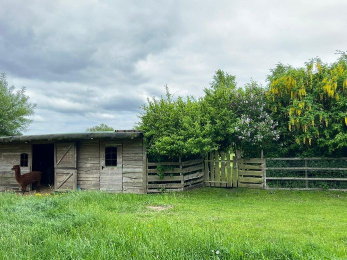 21 Hektar Paradies – Häuser, edle Nebengebäude, Acker, Wiesen, Wald und Wasser – Foto 28