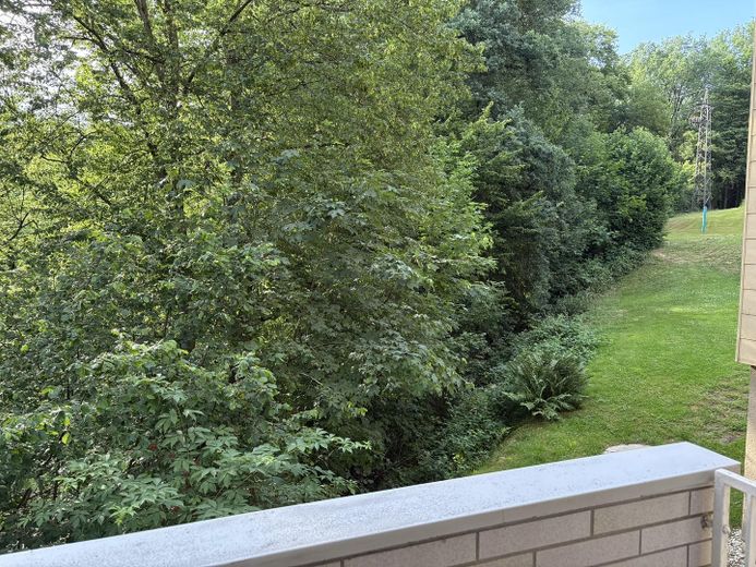 Frisch modernisierte 3-Zimmer-Wohnung mit Loggia – sofort bezugsfrei und Provisionsfrei – Loggia mit Blick ins Grüne