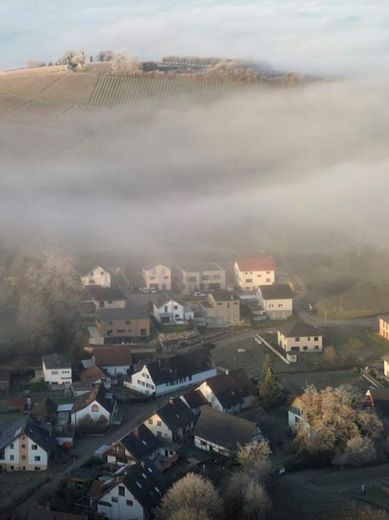 Exklusives SchwörerHaus in traumhafter Lage – Wohnen direkt an den Weinbergen – Foto 17