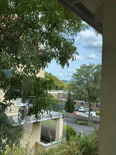 Ausblick auf den Petersberg