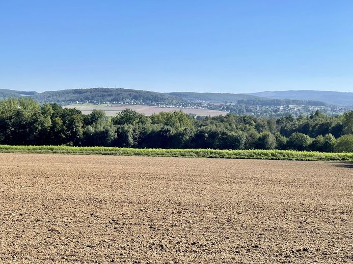 Fröndenberg/Ruhr: Eines der schönsten Grundstücke der Stadt! – Baugrundstück Fröndenberg - Unverbaubare Aussicht