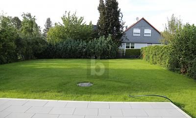 1779296066_b00a19.jpg