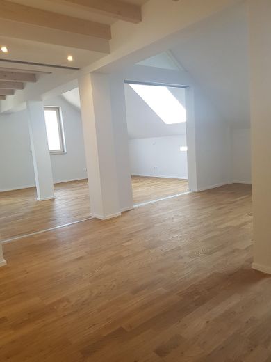 Lichtdurchflutete und hochwertig ausgestattete Loft-Wohnung – Foto 2