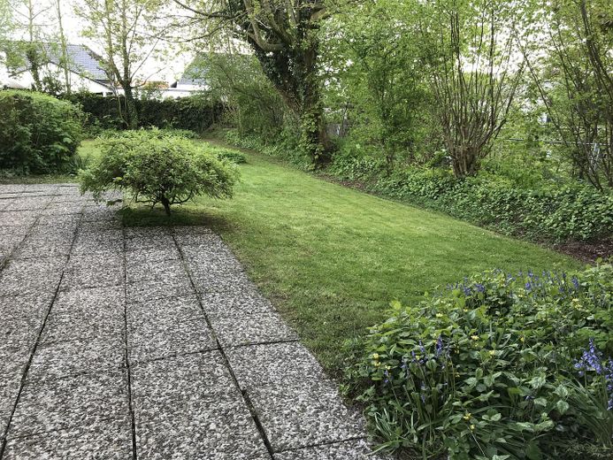 Blick in den Garten