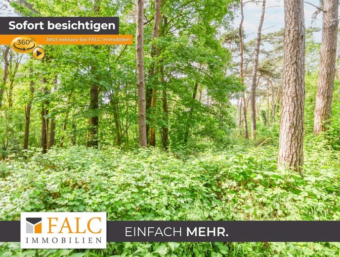 Ein Stück Holter Heide fürs eigene Portfolio – Naturbelassener Waldbereich
