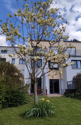 Modernes, familienfreundliches Stadthaus in Altlindenau inkl. Tiefgarage - von privat – Gartenansicht