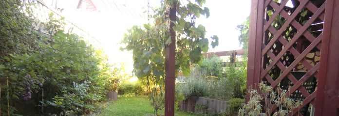 Garten vom Haus her gesehen