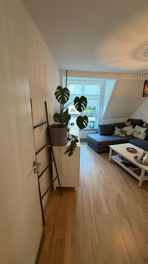 PROVISIONSFREI: Komfortable Wohnung im Frankenberger Viertel – Foto 7
