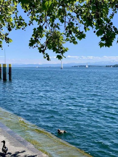 Wenige Meter vom See