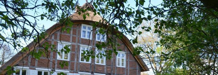 PROVISIONSFREI: Historisches Reetdach-Anwesen am Elbdeich – Denkmalgeschützt – Vorderseite
