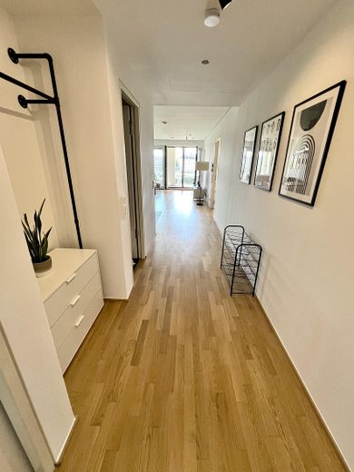 Möblierte 2-Zimmer-Wohnung in erster Reihe zum Main – Flur/Eingangsbereich